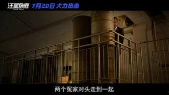 国产a级电影,国产A级电影的璀璨篇章